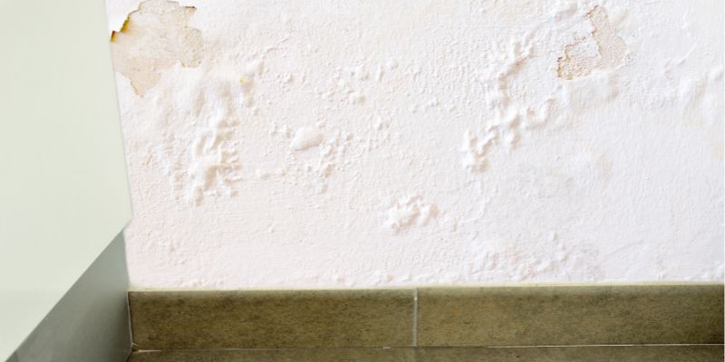 Como detectar vazamento de água dentro da parede